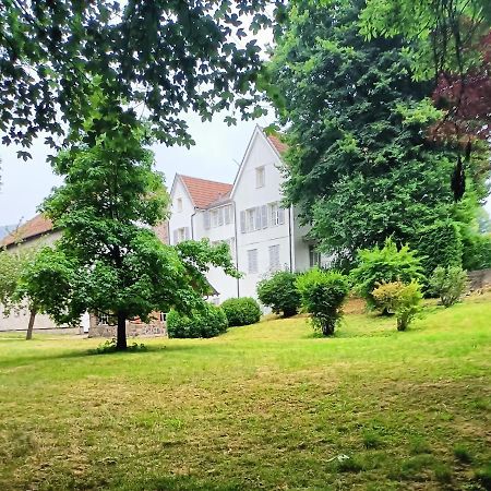 Bed and Breakfast Domaine De La Moselle Сен-Морис-сюр-Мозель Екстер'єр фото