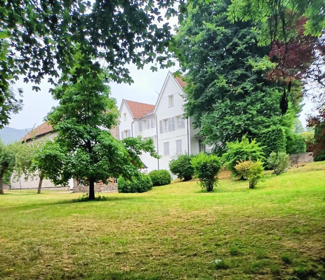 Bed and Breakfast Domaine De La Moselle Сен-Морис-сюр-Мозель Екстер'єр фото